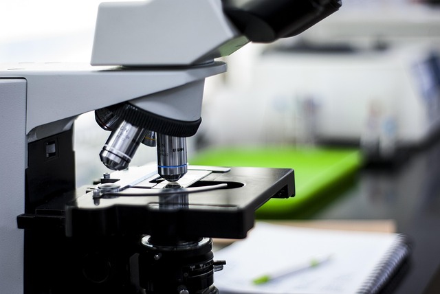 評(píng)估8223改性MDI在絕緣板材生產(chǎn)中的MDI應(yīng)用潛力與效益