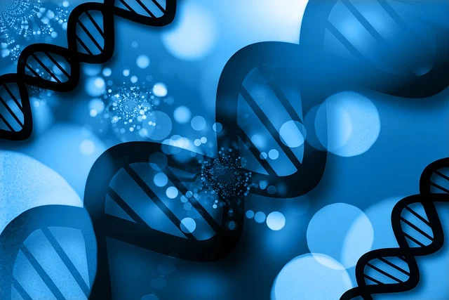 作為預(yù)聚物制備MDI體系的理想選擇，其市場前景廣闊